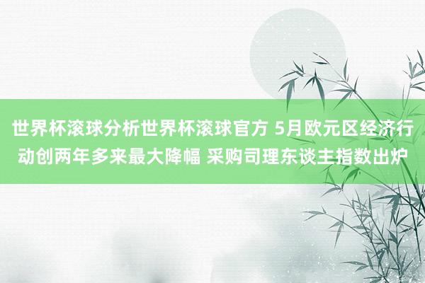 世界杯滚球分析世界杯滚球官方 5月欧元区经济行动创两年多来最大降幅 采购司理东谈主指数出炉
