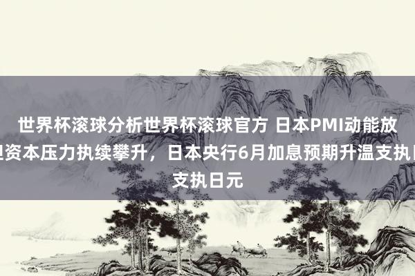 世界杯滚球分析世界杯滚球官方 日本PMI动能放缓但资本压力执续攀升，日本央行6月加息预期升温支执日元