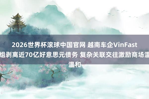 2026世界杯滚球中国官网 越南车企VinFast重组剥离近70亿好意思元债务 复杂关联交往激励商场温和
