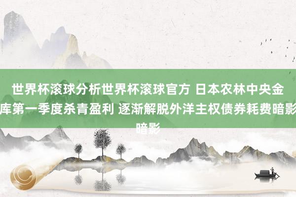 世界杯滚球分析世界杯滚球官方 日本农林中央金库第一季度杀青盈利 逐渐解脱外洋主权债券耗费暗影