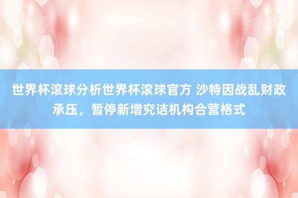世界杯滚球分析世界杯滚球官方 沙特因战乱财政承压，暂停新增究诘机构合营格式