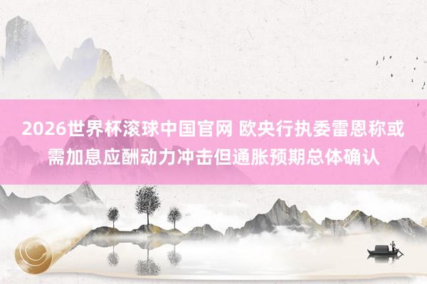 2026世界杯滚球中国官网 欧央行执委雷恩称或需加息应酬动力冲击但通胀预期总体确认