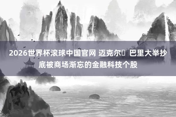 2026世界杯滚球中国官网 迈克尔・巴里大举抄底被商场渐忘的金融科技个股