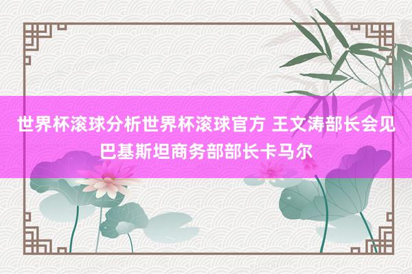 世界杯滚球分析世界杯滚球官方 王文涛部长会见巴基斯坦商务部部长卡马尔