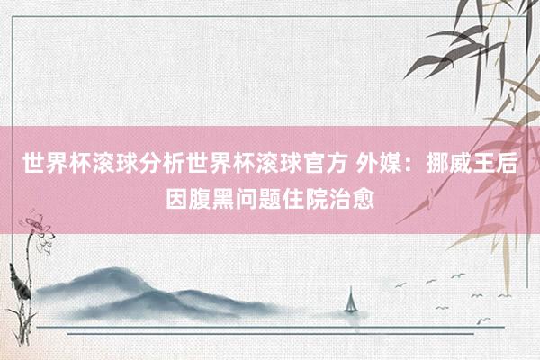 世界杯滚球分析世界杯滚球官方 外媒：挪威王后因腹黑问题住院治愈