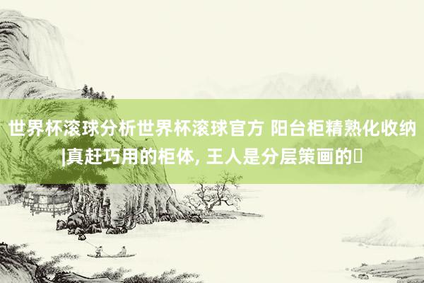 世界杯滚球分析世界杯滚球官方 阳台柜精熟化收纳|真赶巧用的柜体， 王人是分层策画的✨