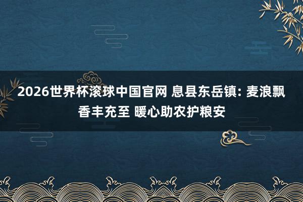 2026世界杯滚球中国官网 息县东岳镇: 麦浪飘香丰充至 暖心助