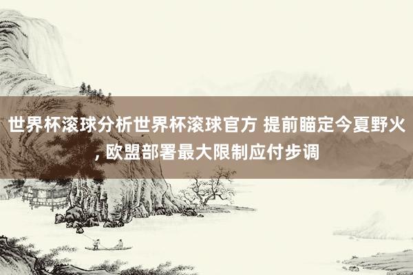 世界杯滚球分析世界杯滚球官方 提前瞄定今夏野火， 欧盟部署最大限制应付步调