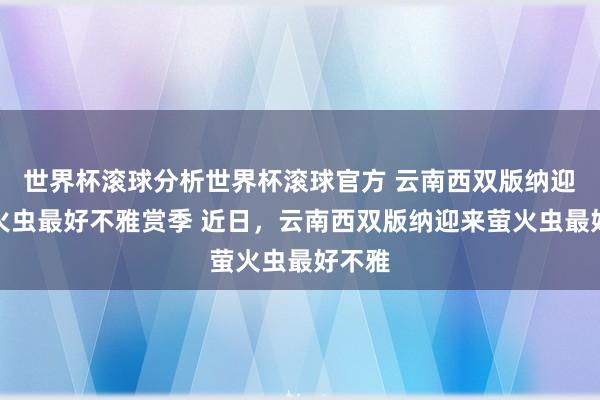 世界杯滚球分析世界杯滚球官方 云南西双版纳迎来萤火虫最好不雅赏季 近日，云南西双版纳迎来萤火虫最好不雅