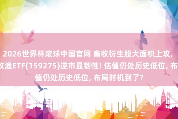 2026世界杯滚球中国官网 畜牧衍生股大面积上攻， 华宝基金农牧渔ETF(159275)逆市显韧性! 估值仍处历史低位， 布局时机到了?