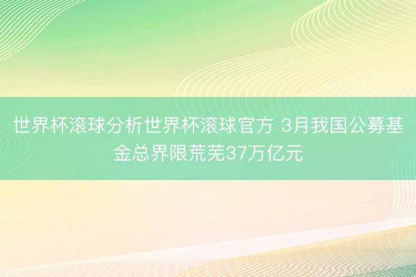 世界杯滚球分析世界杯滚球官方 3月我国公募基金总界限荒芜37万亿元