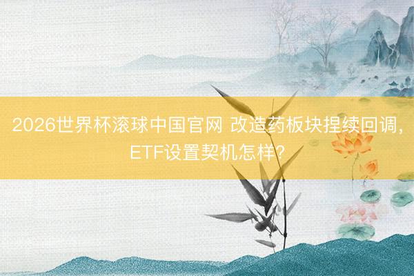 2026世界杯滚球中国官网 改造药板块捏续回调，ETF设置契机怎样?