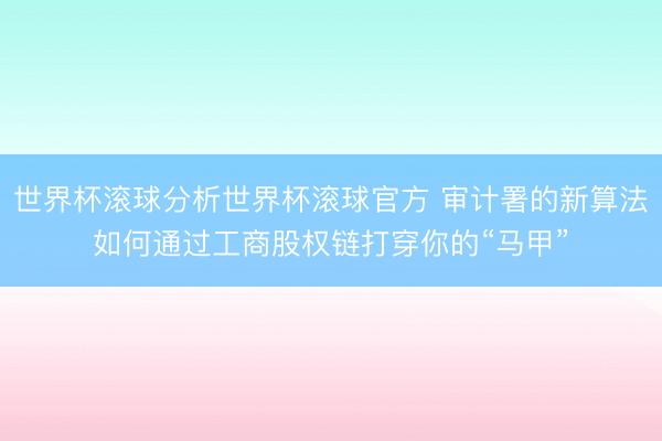世界杯滚球分析世界杯滚球官方 审计署的新算法如何通过工商股权链打穿你的“马甲”